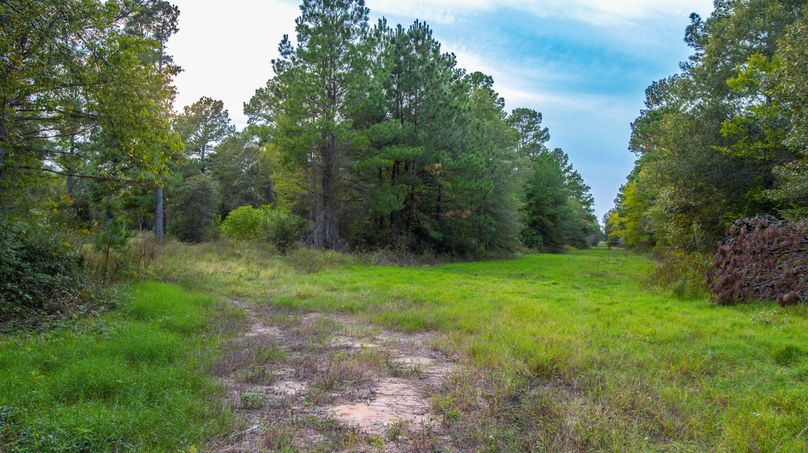 16 Upshur Co 603 ac Weise