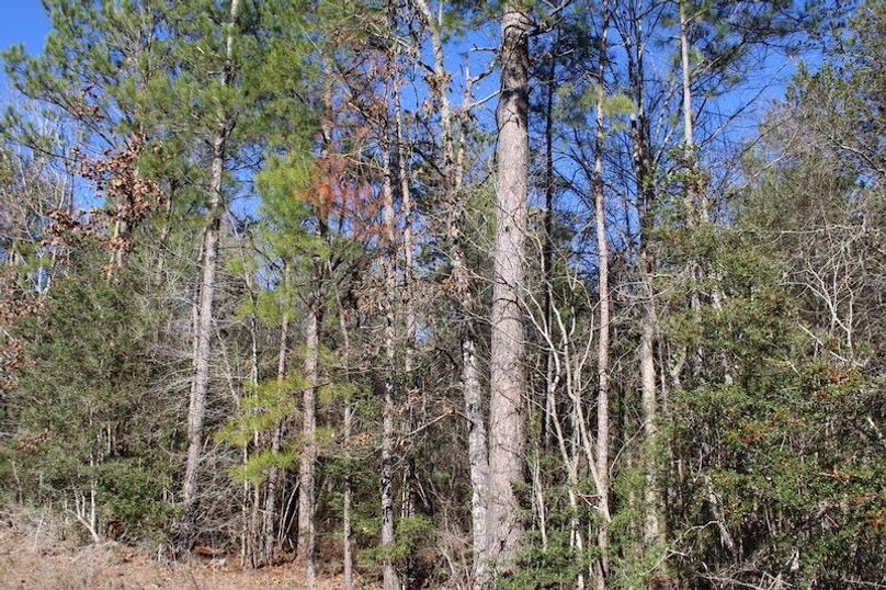 262D9343-4B79-4FAB-BA64-4DE31DBE2FC4_1_105_c