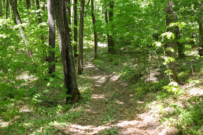 Chippewa85Knowles-5652