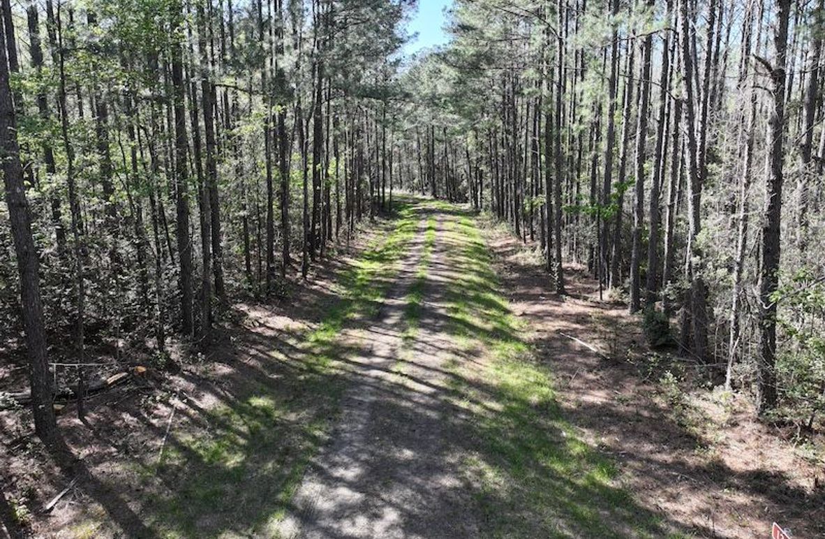 DJI_20260311122804_0520_D