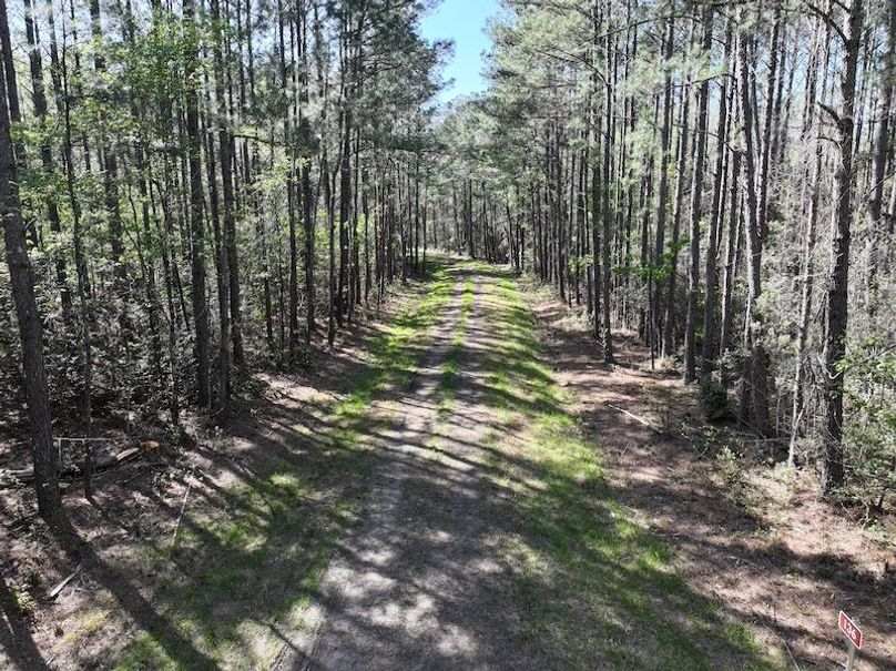 DJI_20260311122804_0520_D