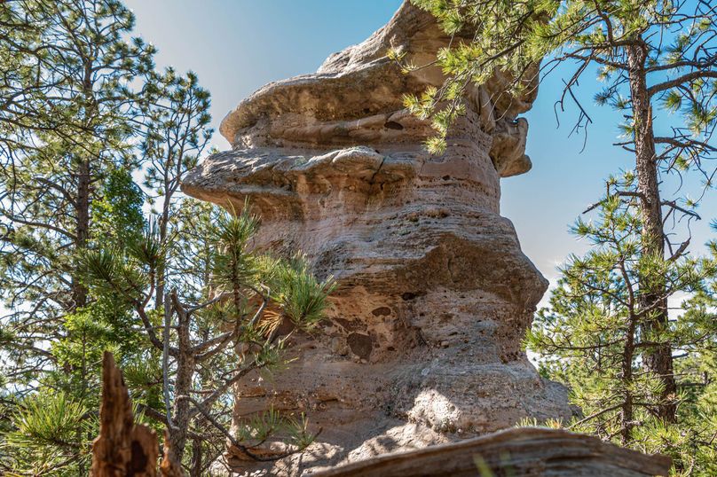 Copy of Los Alamos 508 6-24-1