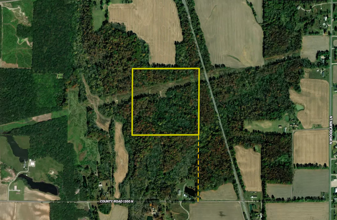 Print Mostly Timber Hunting Tract For Sale Near Rend Lake Whitetail
