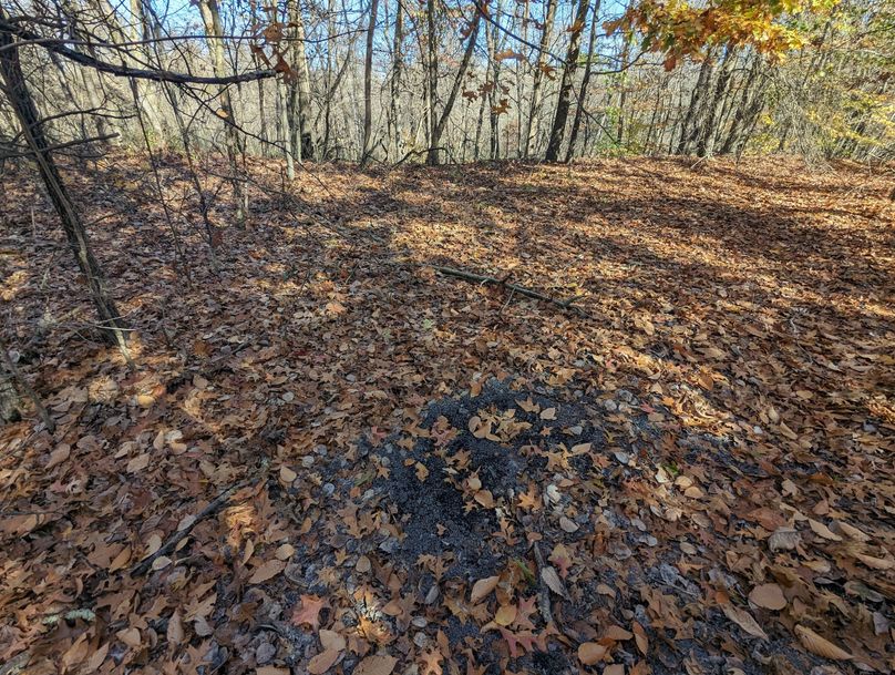 PXL_20231103_152121102