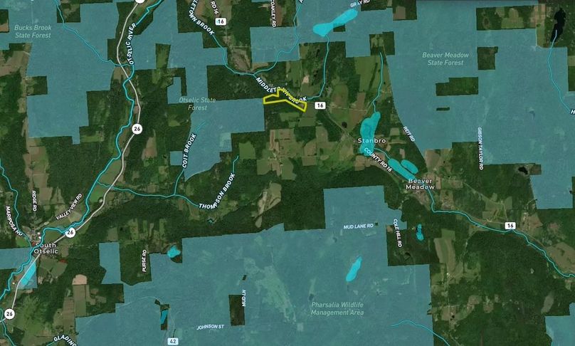 Chenango 36 Myers Wide Area