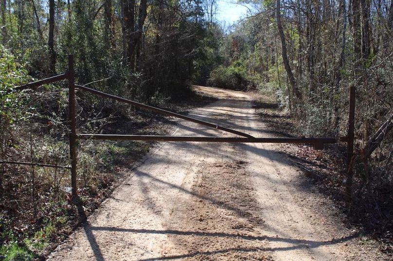 AF6E62FD-B197-48EC-85A1-F045D8DB23B9_1_105_c