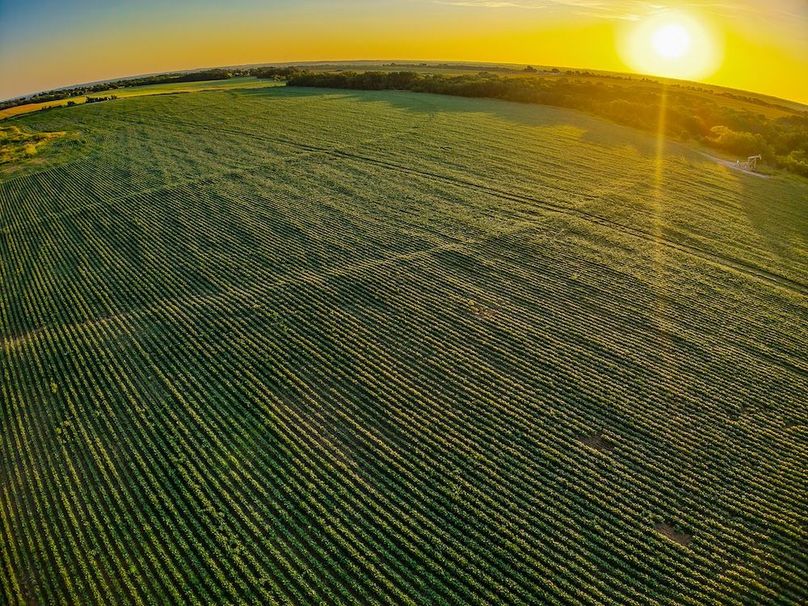 DJI_20250816071042_0736_D