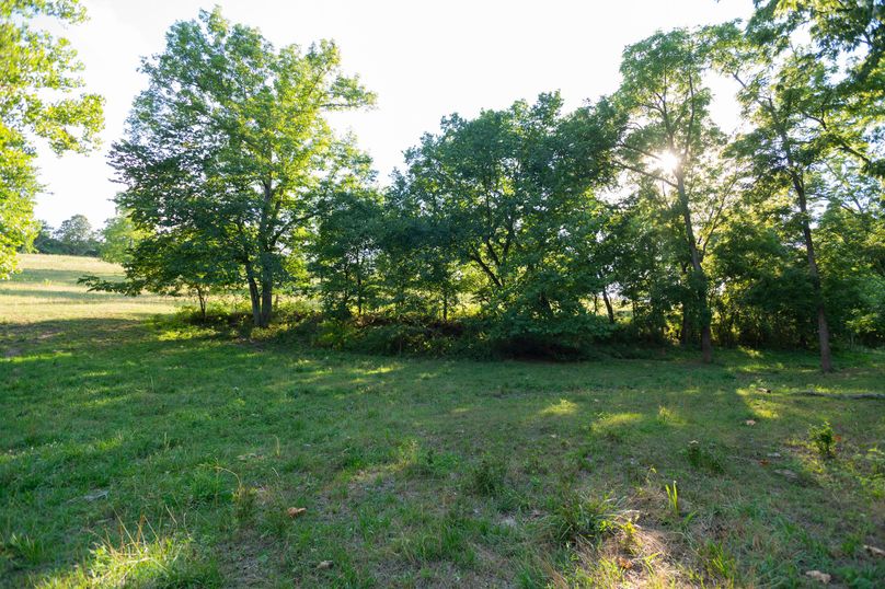 Ozark MO 638_Pro Photo_71