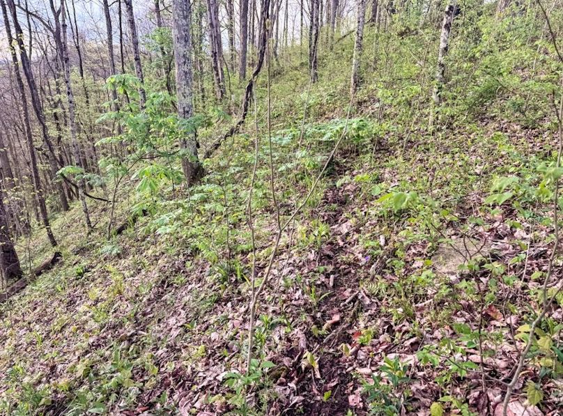 Screenshot 2026-04-21 at 11.35.20 AM