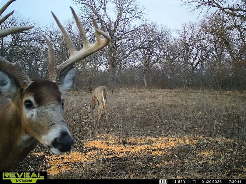 860322064077966-100-3-01202026173029-V-W1012141