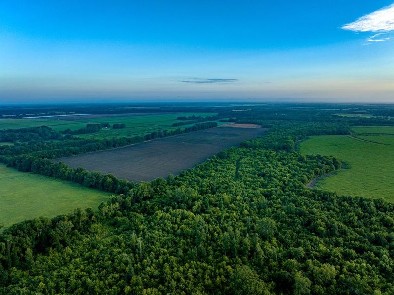 Copy of Noxubee 112.1 +- Tract 1-22