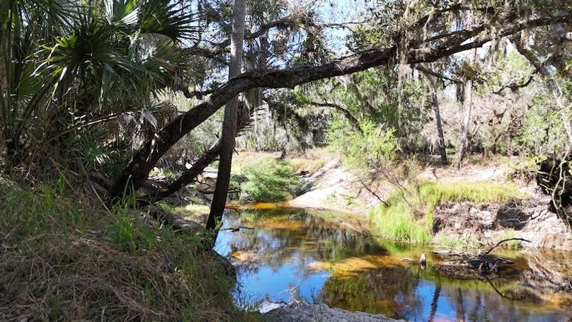 DJI_20260221142603_0320_D