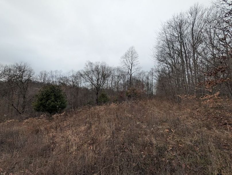 PXL_20260107_204904187