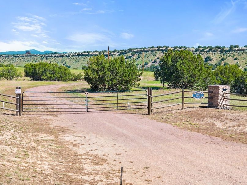 DJI_20250619095350_0085_D_1