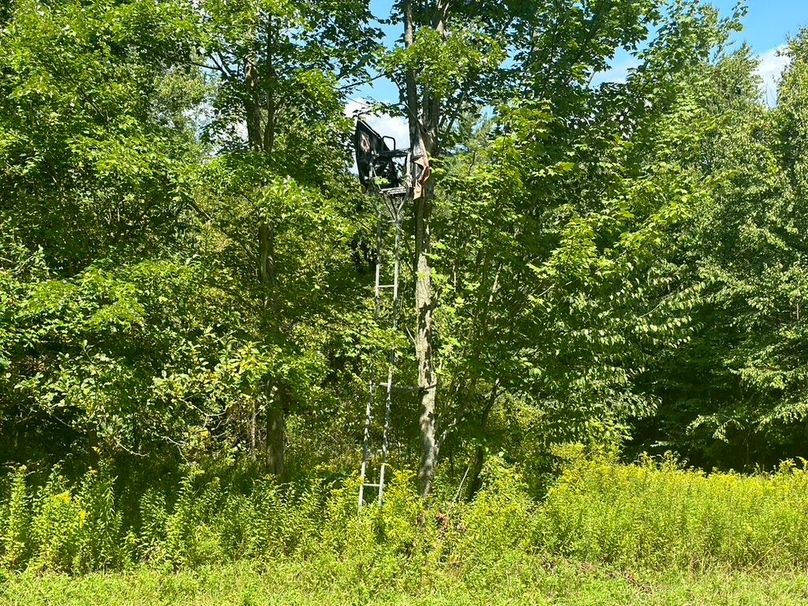 6FB5F291-7053-4B7F-AB98-53A2D5A8F691_1_105_c