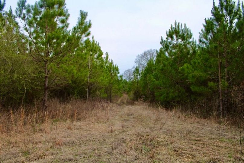 611EB971-C2C0-433D-978E-AE727119BD06_1_105_c