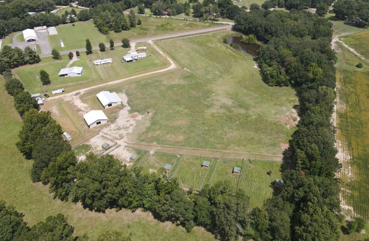 dji_fly_20250808_120328_655_1754672616991_photo