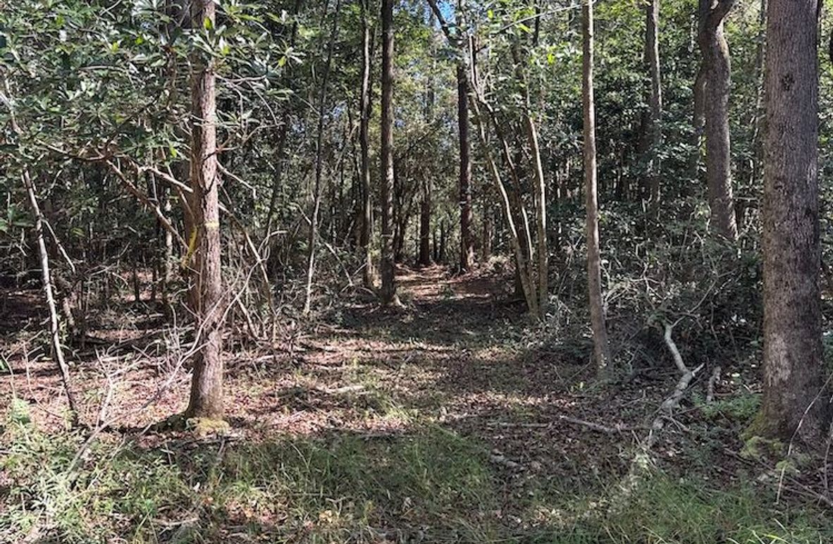 DJI_20251003_104552_225