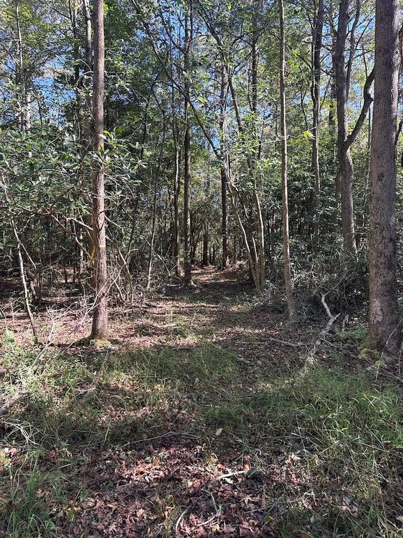 DJI_20251003_104552_225