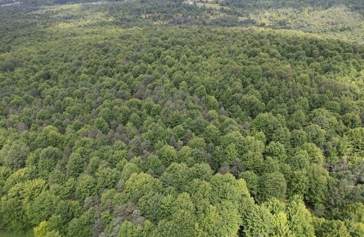 Chemung_59.085_Gutchess_Lumber_Photos_2