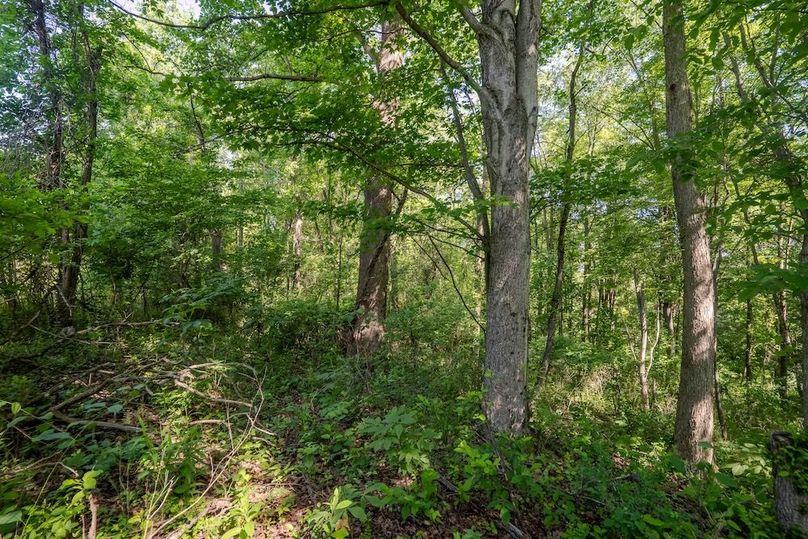 Listing 6-48