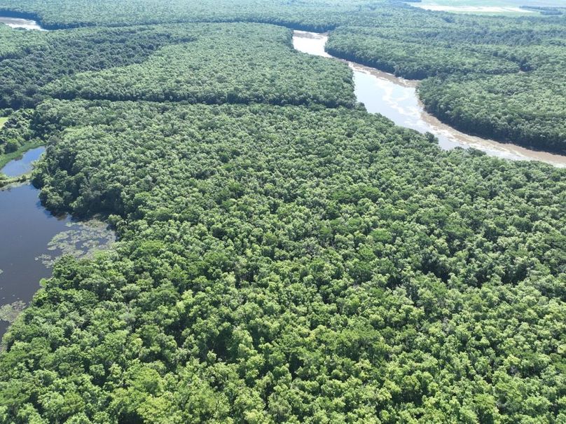 dji_fly_20260513_102624_458_1778687615234_photo