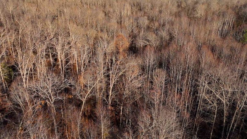 DRONE.00_06_31_21.Still018