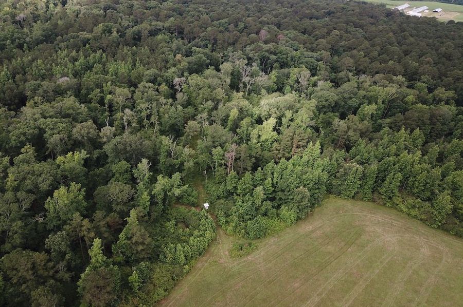 DJI_0002