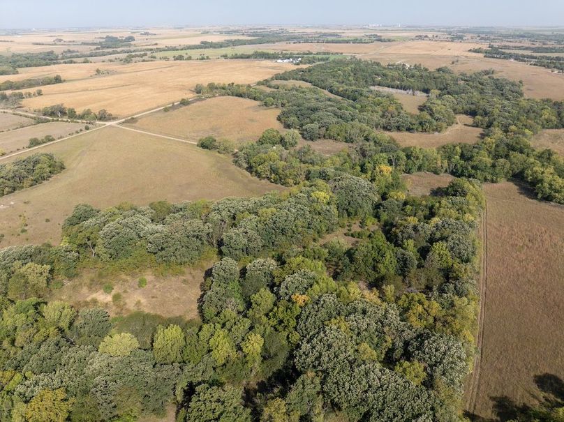 20240913-DJI_20240913104858_0099_D