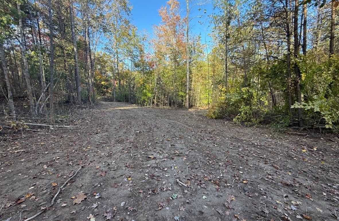 002 open cleared area perfect for a small cabin near the creek