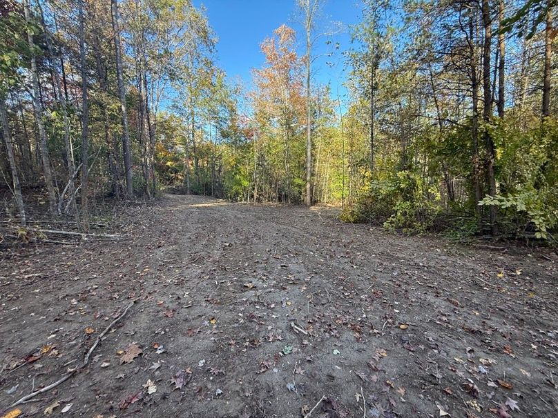 002 open cleared area perfect for a small cabin near the creek