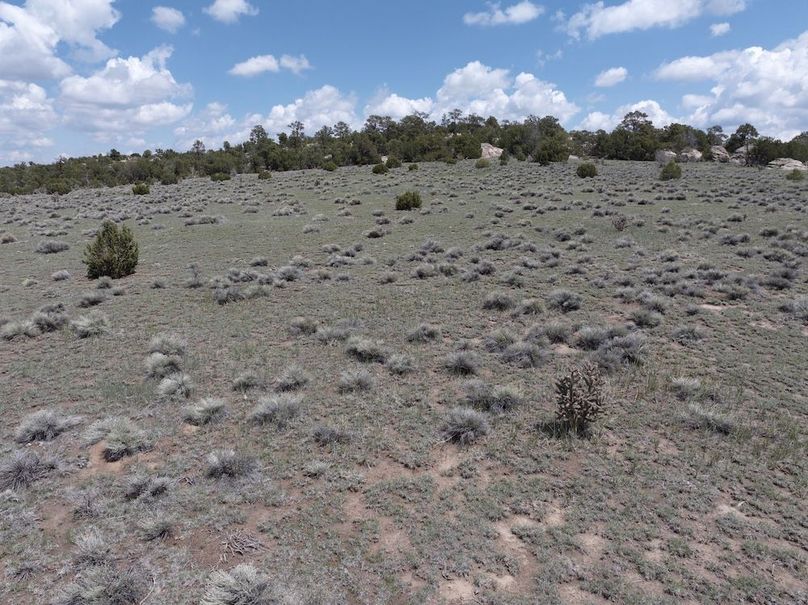 DJI_20250508124159_0059_D