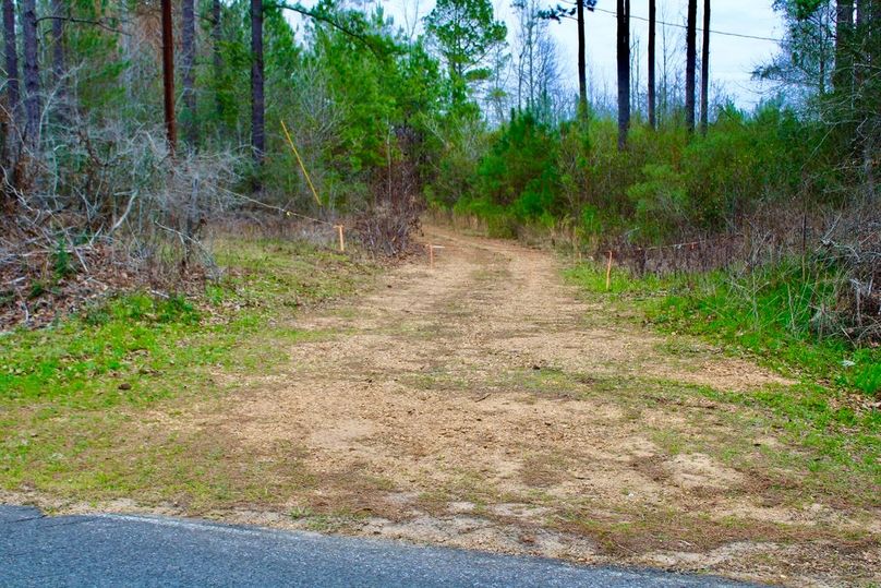 D38F04C8-102D-4949-8BAC-1F27D4060549_1_105_c