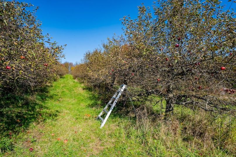 44868WarnerGROUND-16