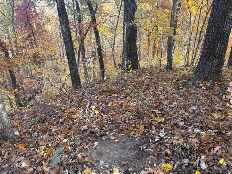 014 More signs of heavy rut activity and abundant wildlife