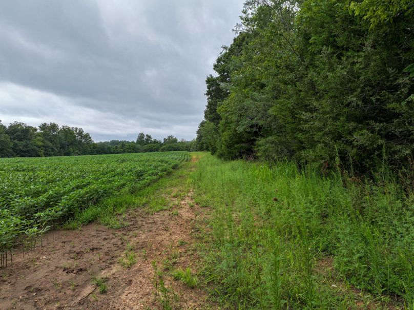 DJI_20230815084451_0022_D