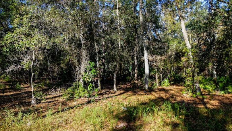 Copy of DJI_20251203231553_0676_D