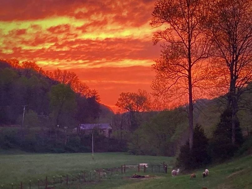 048 oh how mother nature can paint!