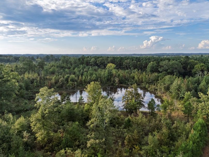 16 Edited Harison co. 206 - Ed Robb-100