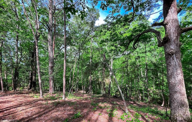 Haralson GA 100 McIntyre-54