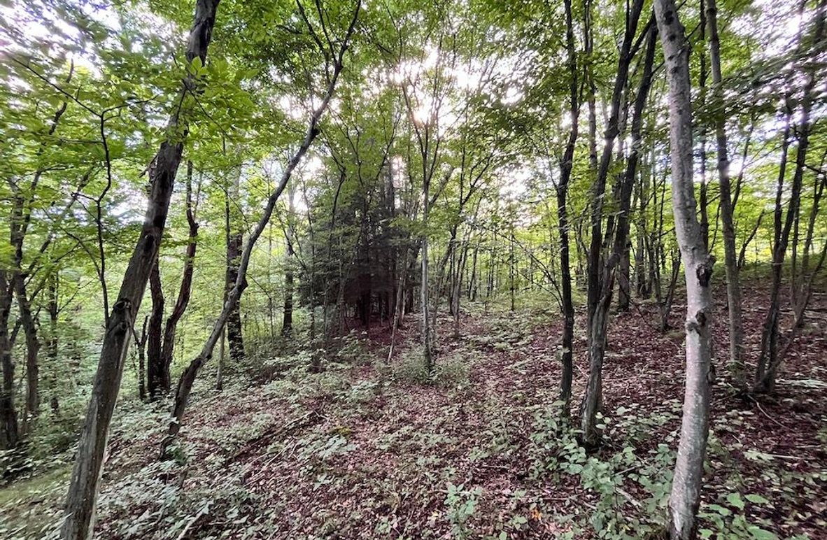 Chemung_77.71_Gutchess_Lumber_4