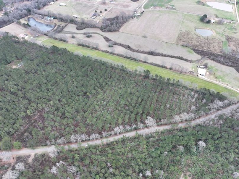 dji_fly_20260217_132824_0116_1771436923217_photo