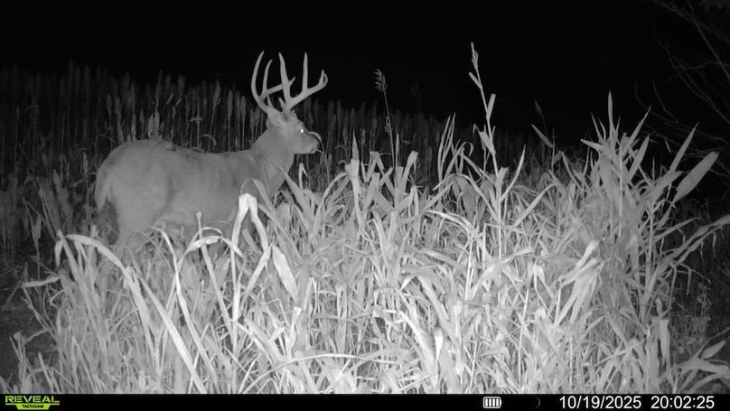 016578000659844-84-2-10192025200225-SYFW11496