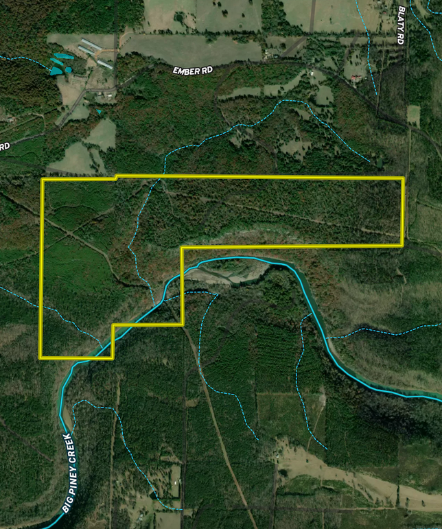 Screen Shot 2024-05-06 at 11.02.00 AM