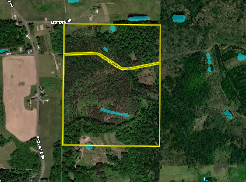 Screen Shot 2022-05-09 at 1.27.09 PM