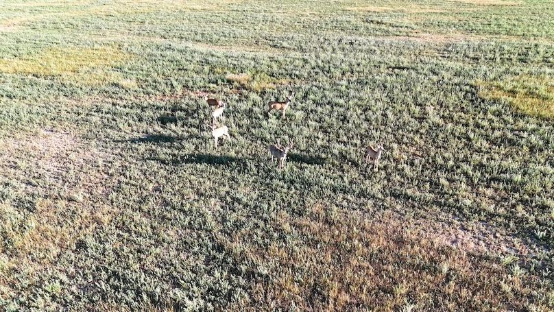 DJI_20240810073839_0213_D
