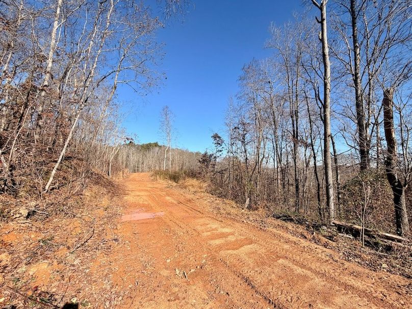 Roane Co TN 396 20251127_60