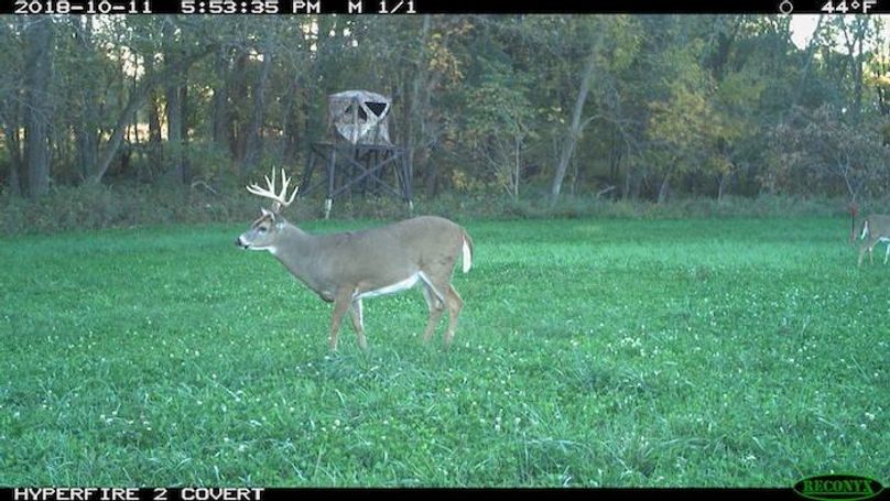 2018-10-11 17-53-35 M 1_1