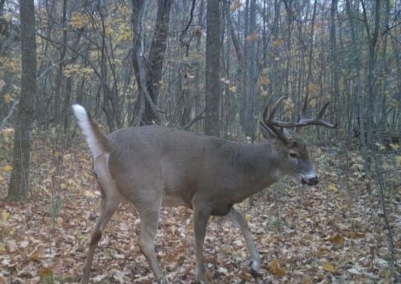 Screenshot_20231019_122246