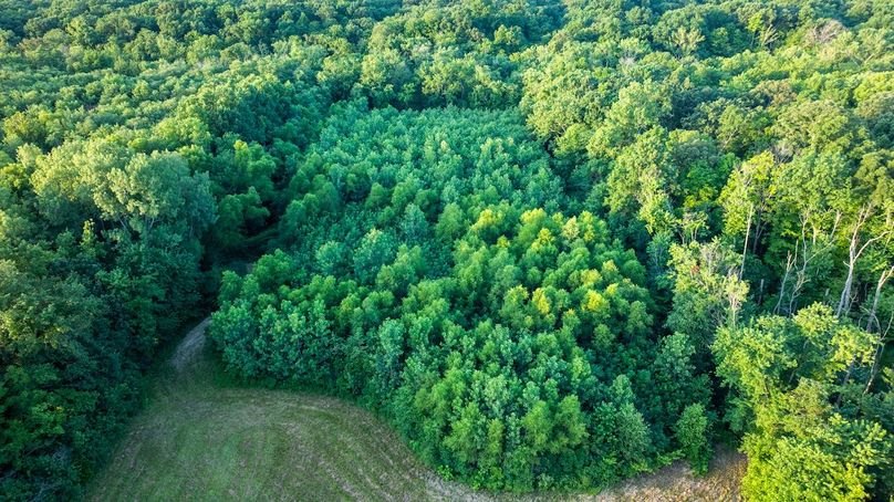 DJI_20250711172924_0038_D